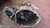 NISSAN QASHQAI «I» (2007) CAMBIO E TRASMISSIONE CAMBIO USATO Da 2006 A 2010 [[286725]]