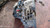 NISSAN QASHQAI «I» (2007) CAMBIO E TRASMISSIONE CAMBIO USATO Da 2006 A 2010 [[286725]]