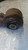 JEEP CHEROKEE «III» (2002) ASSALE BRACCIO OSCILLANTE INF. ANT. DX. USATO Da 2001 A 2004 [[286714]]