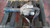 JEEP CHEROKEE «III» (2002) CAMBIO E TRASMISSIONE DIFFERENZIALE ANT. USATO Da 2001 A 2004 [[286711]]