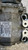 SUZUKI IGNIS «II» (2003) TERMICO COMPRESSORE A/C USATO Da 2003 A 2008 [[286790]]