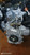 TOYOTA YARIS CROSS (2020) MOTORE MOTORE SEMICOMPLETO USATO Da 2020 in poi [[286824]]