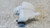 TOYOTA YARIS CROSS (2020) TERMICO VASCHETTA ACQUA USATO [[286913]]