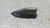TOYOTA YARIS CROSS (2020) LAMIERATI ESTERNI ANTENNA RADIO USATO Da 2020 in poi [[287026]]