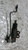 KIA RIO «III» (2012) CAMBIO E TRASMISSIONE CILINDRETTO FRIZIONE USATO Da 2011 A 2014 [[287206]]