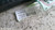 ALFA ROMEO GIULIETTA (2016) SICUREZZA AIR-BAG A TENDINA SX. USATO Da 2016 A 2018 [[287311]]