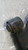 ALFA ROMEO GIULIETTA (2016) ASSALE BRACCIO OSCILLANTE ANT. SX. USATO Da 2016 A 2018 [[287447]]