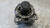 NISSAN QASHQAI «I» (2010) IMPIANTO ELETTRICO ALTERNATORE USATO Da 2010 in poi [[287756]]