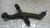 NISSAN INTERSTAR (2002) ASSALE BRACCIO OSCILLANTE SUP. ANT. DX. USATO Da 2002 in poi [[287465]]