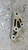 FIAT DOBLÒ «III» CARGO (2010) CAMBIO E TRASMISSIONE SUPPORTO CAMBIO USATO Da 2010 A 2014 [[288247]]
