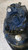 HYUNDAI ACCENT «III» (2006) FANALERIA PROIETTORE ANT. DX. USATO Da 2005 A 2009 [[288365]]