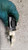 FIAT 500X (2018) CRISTALLI MOTORINO ALZACRISTALLO PORTA ANT. DX. USATO Da 2018 A 2022 [[288506]]