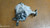 DACIA DUSTER «I» (2010) CAMBIO E TRASMISSIONE DIFFERENZIALE ANT. USATO Da 2010 A 2013 [[288470]]
