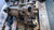 RENAULT TRAFIC «I» (1990) CAMBIO E TRASMISSIONE CAMBIO USATO Da 1994 A 1998 [[289019]]