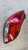 OPEL INSIGNIA «A» (2009) FANALERIA FANALE POST. SX. USATO Da 2009 A 2013 [[289219]]