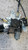 OPEL INSIGNIA «A» (2009) CRISTALLI ALZACRISTALLO PORTA ANT. SX. USATO Da 2009 A 2013 [[289230]]