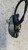 OPEL INSIGNIA «A» (2009) LAMIERATI ESTERNI SERRATURA PORTA POST. SX. USATO Da 2009 A 2013 [[289241]]