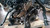 BMW SERIE 1 «F20» BERLINA (2015) MOTORE MOTORE SEMICOMPLETO USATO Da 2015 in poi [[290005]]