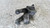 JAGUAR XE (2015) MOTORE SUPPORTO MOTORE DX. USATO Da 2015 in poi [[290027]]