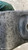 JAGUAR XE (2015) MOTORE SUPPORTO MOTORE SX. USATO Da 2015 in poi [[290030]]