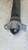 VOLKSWAGEN GOLF «VII» (2017) ASSALE AMMORTIZZATORE POST. DX. USATO Da 2016 A 2020 [[290196]]