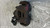 JEEP RENEGADE (2015) IMPIANTO FRENANTE PINZA FRENO ANT. DX. USATO Da 2014 A 2018 [[289484]]