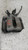 OPEL INSIGNIA «A» (2009) IMPIANTO FRENANTE PINZA FRENO POST. SX. USATO Da 2009 A 2013 [[289261]]