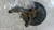 AUDI A3 «8VA» SPORTBACK (2012) ASSALE FUSELLO RUOTA POST. DX. USATO Da 2012 A 2015 [[290437]]