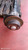 FIAT DUCATO «290» (2014) ASSALE ASSALE POST. USATO Da 2021 A 2023 [[290493]]