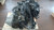 SUZUKI SWIFT «V» (2011) MOTORE MOTORE COMPLETO USATO Da 2010 A 2017 [[290656]]