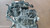SUZUKI SWIFT «V» (2011) MOTORE MOTORE COMPLETO USATO Da 2010 A 2017 [[290656]]