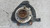 SMART FORFOUR «453» (2015) ASSALE FUSELLO RUOTA ANT. SX. USATO Da 2014 in poi [[290737]]
