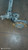 SUZUKI SWIFT «V» (2011) ASSALE ASSALE POST. USATO Da 2010 A 2017 [[290744]]