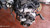 BMW X1 «F48» (2015) MOTORE MOTORE SEMICOMPLETO USATO Da 2015 A 2019 [[290939]]