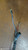 CITROEN C3 «II» (2010) STERZO SCATOLA STERZO C/SERVOSTERZO USATO Da 2010 A 2013 [[291047]]