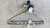 SUZUKI SWIFT «V» (2011) CRISTALLI ALZACRISTALLO PORTA ANT. DX. USATO Da 2010 A 2017 [[291070]]
