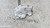 SUZUKI SWIFT «V» (2011) LAMIERATI ESTERNI SERRATURA PORTA ANT. SX. USATO Da 2010 A 2017 [[291086]]