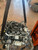 FORD ECOSPORT (2022) MOTORE MOTORE SEMICOMPLETO USATO Da 2021 in poi [[291133]]