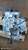 FORD FOCUS «V» (2022) CAMBIO E TRASMISSIONE CAMBIO USATO Da 2022 in poi [[291238]]