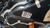 FORD FOCUS «V» (2022) MOTORE MOTORE SEMICOMPLETO USATO Da 2022 in poi [[291239]]