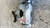 FORD FOCUS «V» (2022) IMPIANTO FRENANTE PINZA FRENO ANT. DX. USATO Da 2022 in poi [[291442]]