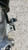 SUZUKI SWIFT «VII»  (2024) TERMICO COMPRESSORE A/C USATO Da 2023 in poi [[291521]]