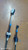 FORD ECOSPORT (2022) CAMBIO E TRASMISSIONE CAVO COMANDO CAMBIO USATO Da 2021 in poi [[291566]]