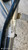 FORD ECOSPORT (2022) SCARICO E INIEZIONE TUBO INTRODUZIONE CARBURANTE USATO Da 2021 in poi [[291867]]