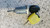 SUZUKI WAGON R «II» (2000) STERZO CILINDRETTO / COMMUTATORE ACCENSIONE USATO Da 2000 A 2003 [[291826]]