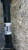 BMW X1 «F48» (2015) CAMBIO E TRASMISSIONE SEMIASSE ANT. SX. USATO Da 2015 A 2019 [[291948]]