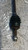 LANCIA YPSILON «III» (2011) CAMBIO E TRASMISSIONE SEMIASSE ANT. SX. USATO Da 2011 A 2015 [[292040]]