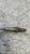 FORD FIESTA «VII» (2017) SCARICO E INIEZIONE SONDA LAMBDA POST. USATO Da 2017 A 2021 [[292218]]