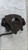 FORD FIESTA «VII» (2017) IMPIANTO FRENANTE PINZA FRENO ANT. SX. USATO Da 2017 A 2021 [[292240]]