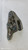 FORD FIESTA «VII» (2017) CAMBIO E TRASMISSIONE SUPPORTO CAMBIO USATO [[292245]]